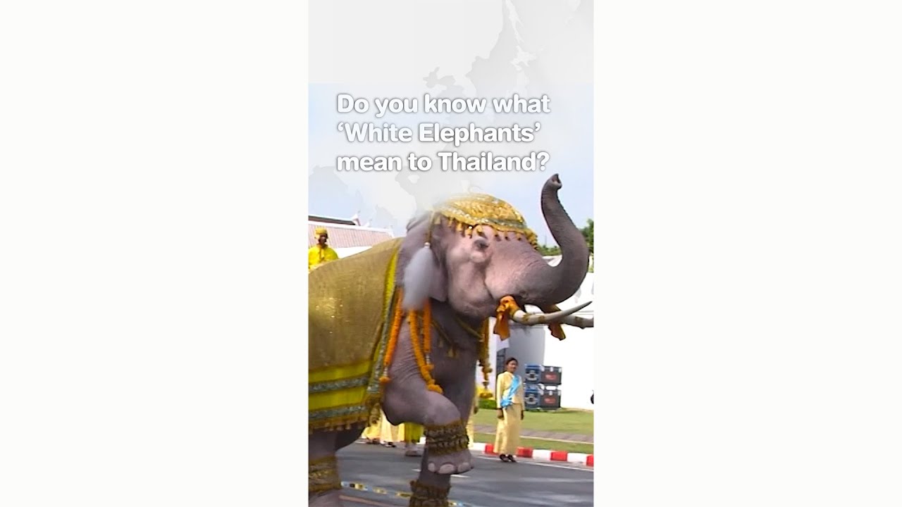 Do you know what ‘White Elephants’ mean to Thailand?