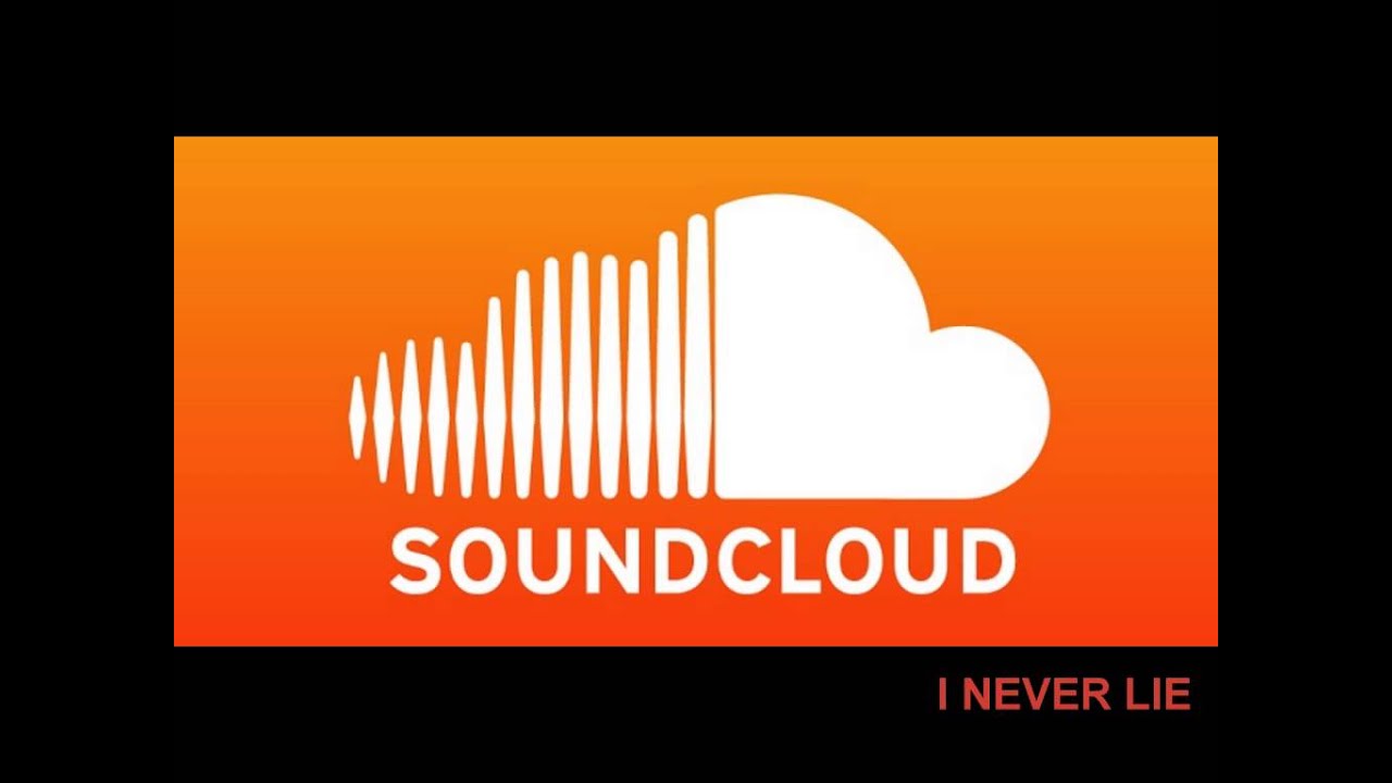 vouga - i never lie