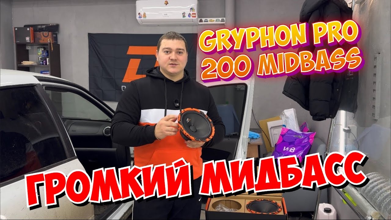 Громкий и сочный мидбасс DL Audio Gryphon Pro 200 Midbass