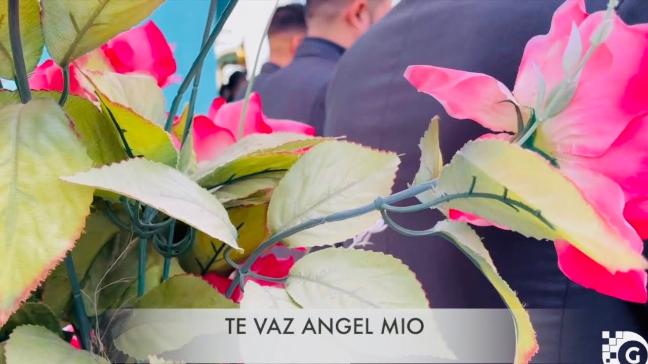 Te Vas Ángel Mío-El Árbol-Cuando Dos Almas-La Fundadora Banda Centenario-(Video Oficial)
