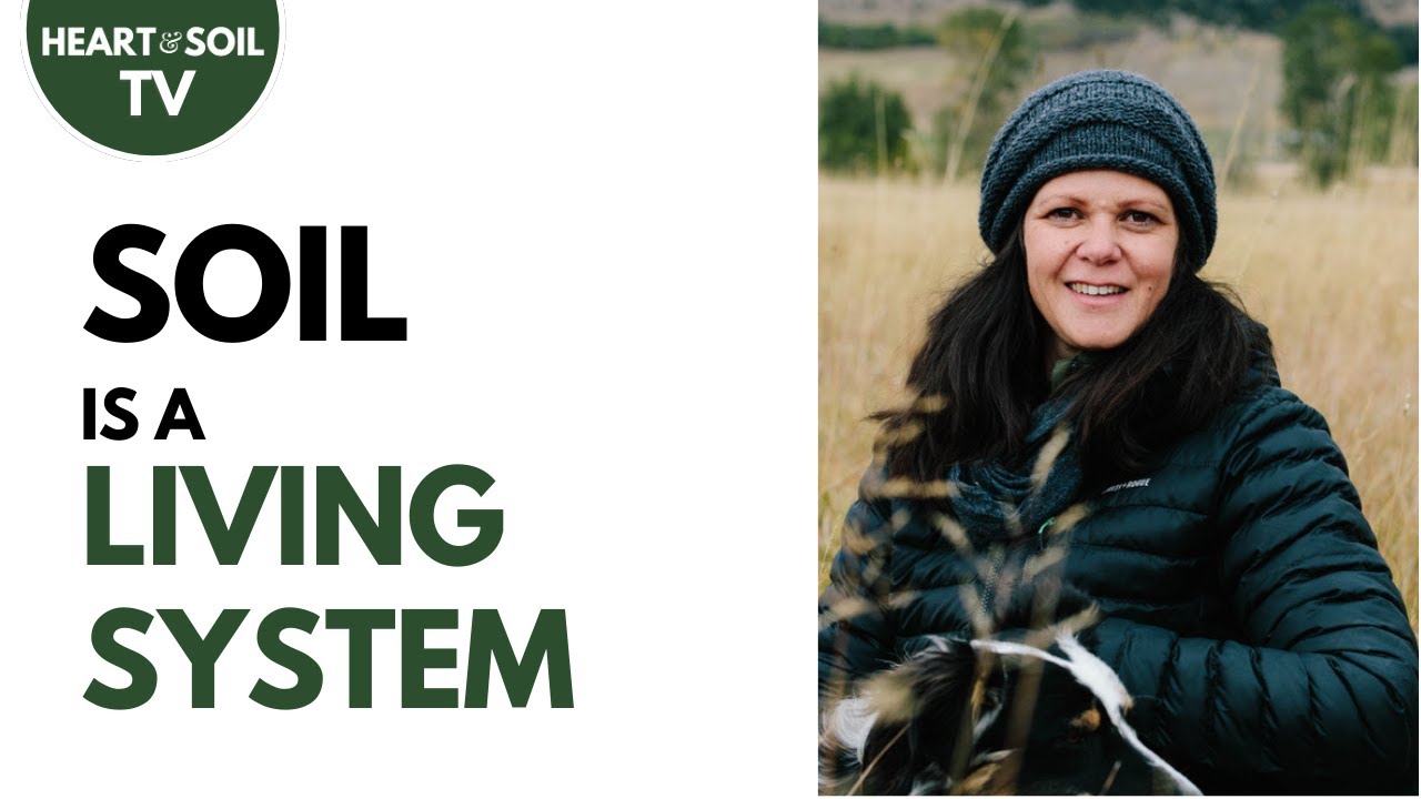 Soil Fertility, a Living System | Nicole Masters, Agroecologist #agroecology