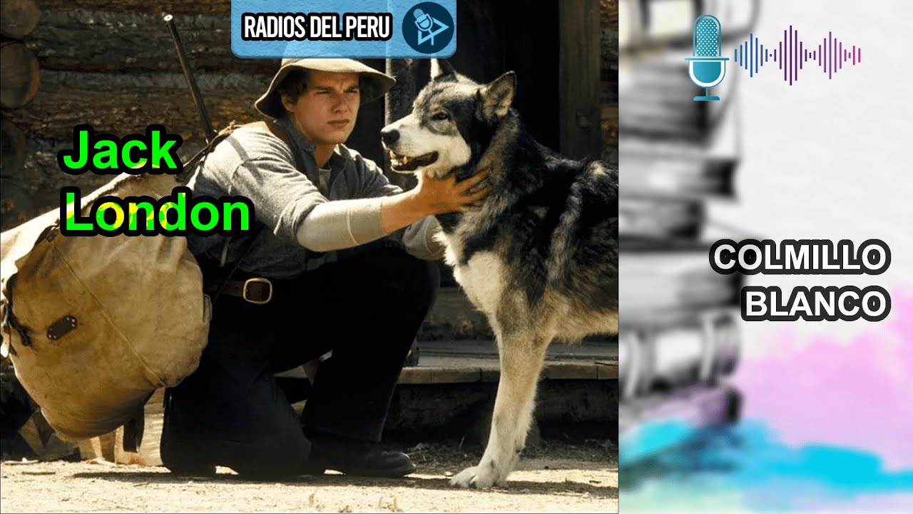 🎙️ Colmillo blanco | Mi novela Favorita 🔥Audiolibro Completo 🎶Audio HD