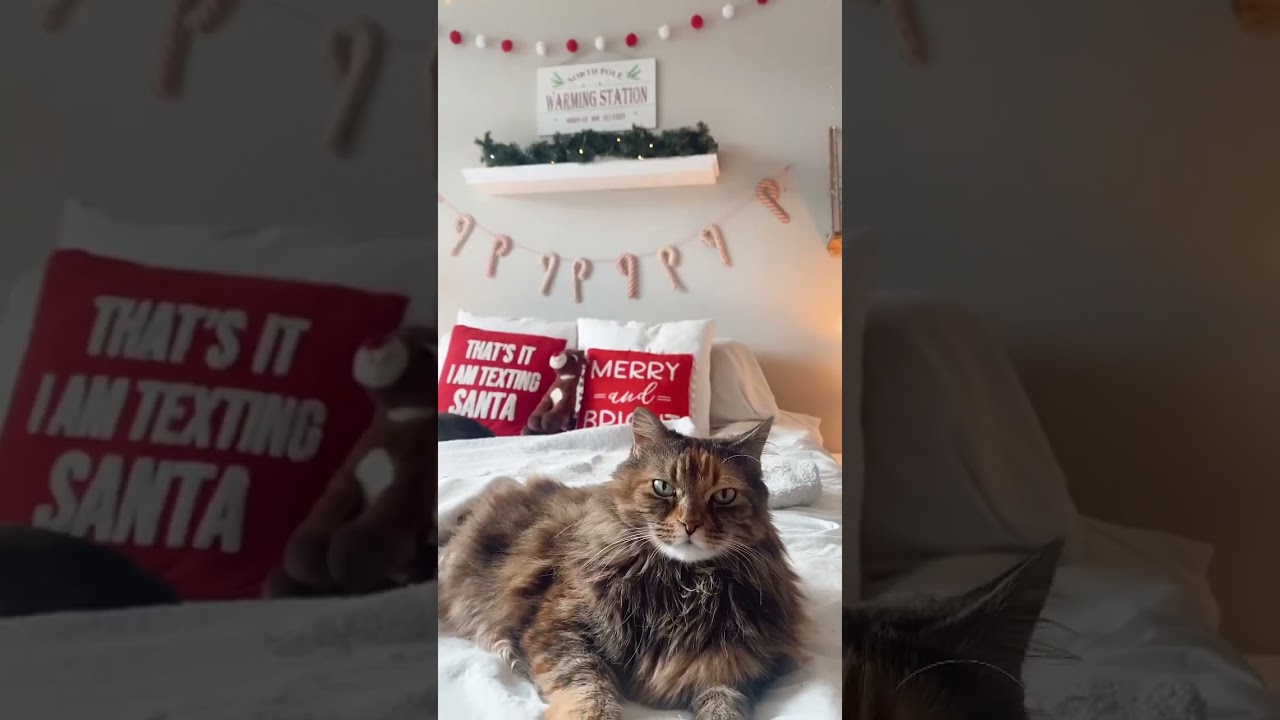 Cozy Christmas Bedroom Decor🎄☃️✨