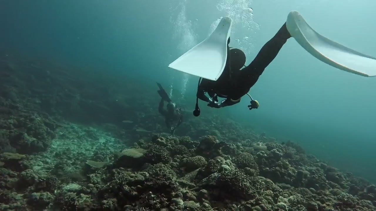 LOG 0005 20260125 124358 JAPAN OKINAWA OKDive CoCoOcean