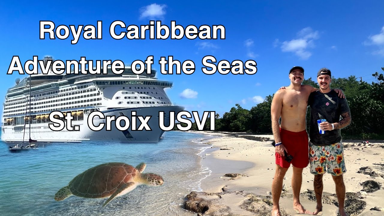Adventure of the Seas - Snorkeling with Sea Turtles in St. Croix USVI