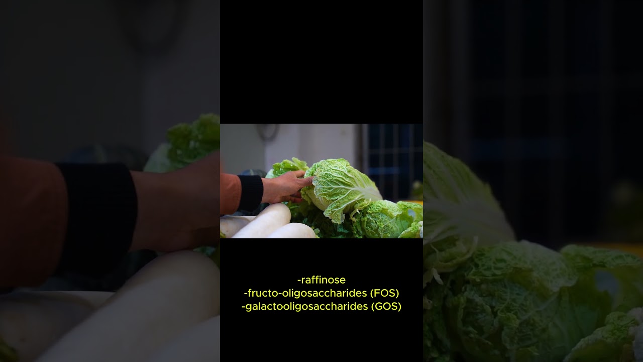 The Health Benefits of Cabbage For Your Gut 
