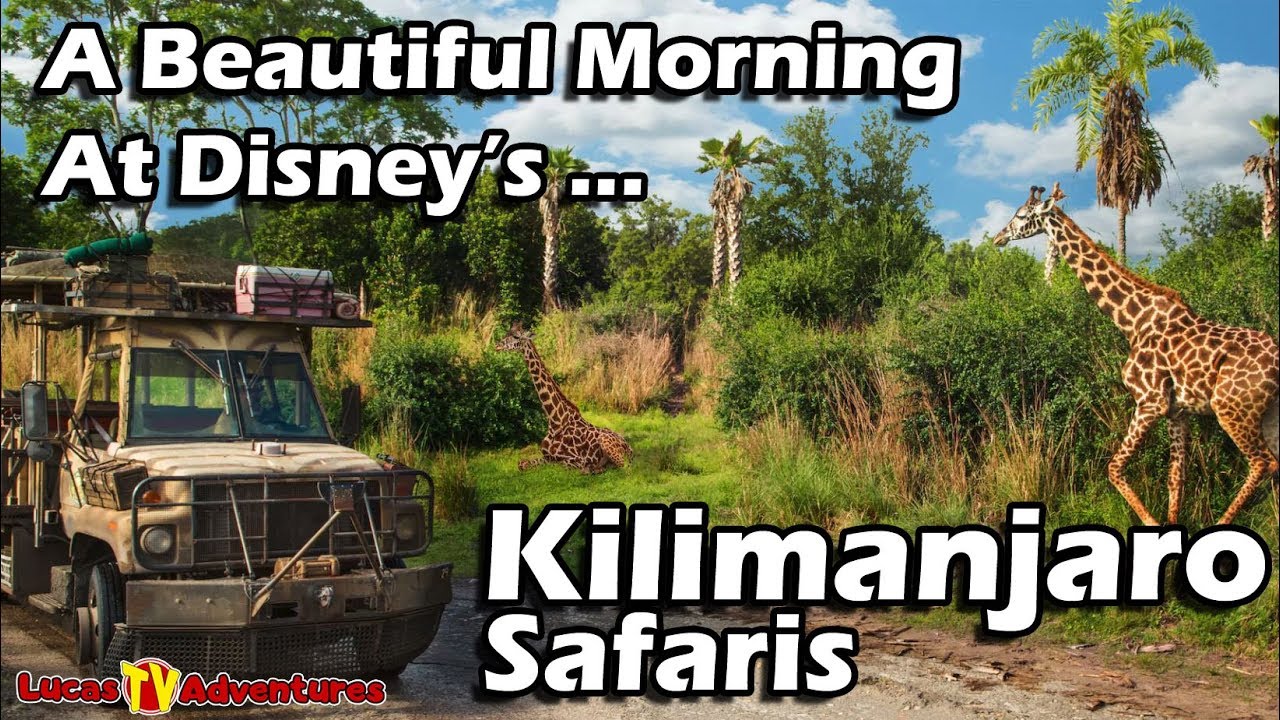 Beautiful Morning Kilimanjaro Safaris at Disney's Animal Kingdom
