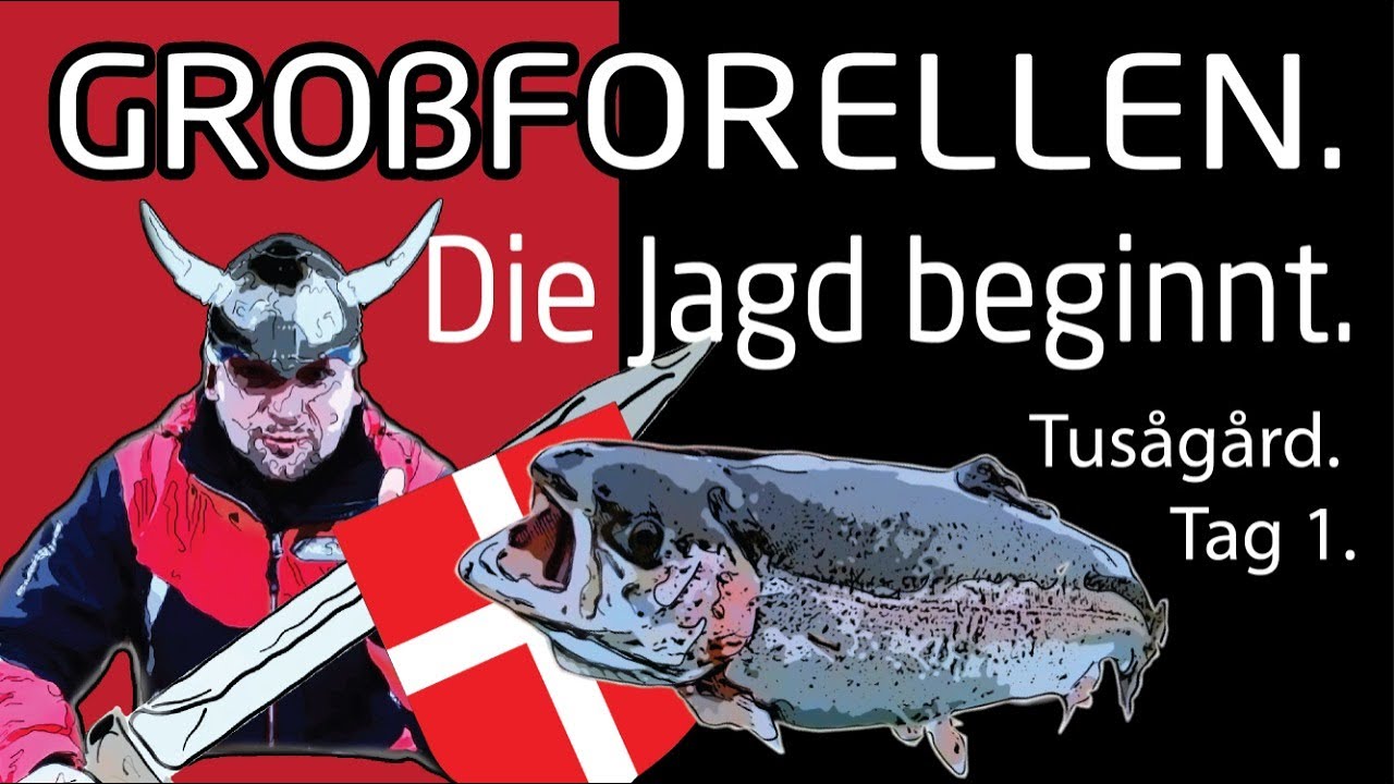 Im Land der GROßFORELLEN. Tusaagaard: Tag 1. Forellenangeln in Dänemark mit Erwin Meiris.