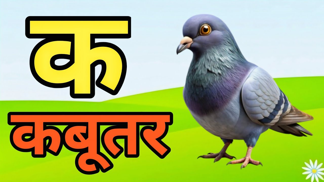 K Se Kabutar | क से कबूतर A for Apple | Learn Hindi Alphabets | हिंदी वर्णमाला | Big Rhymes