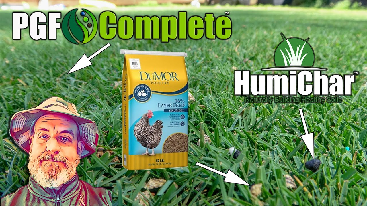 How to Apply Humichar Lawn Biochar