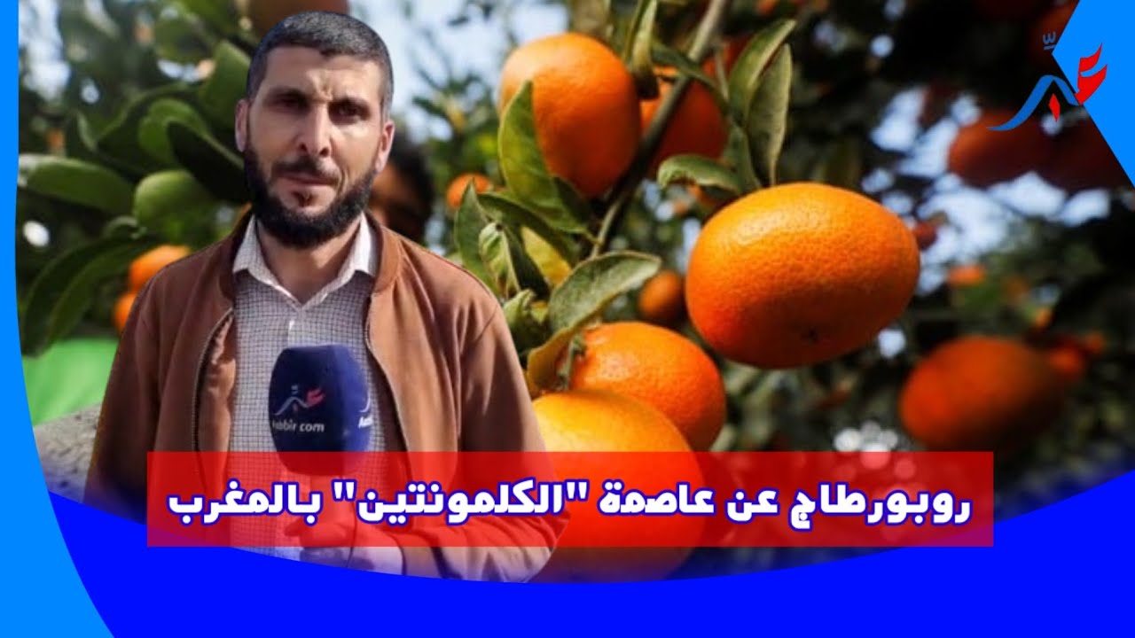 عاصمة 