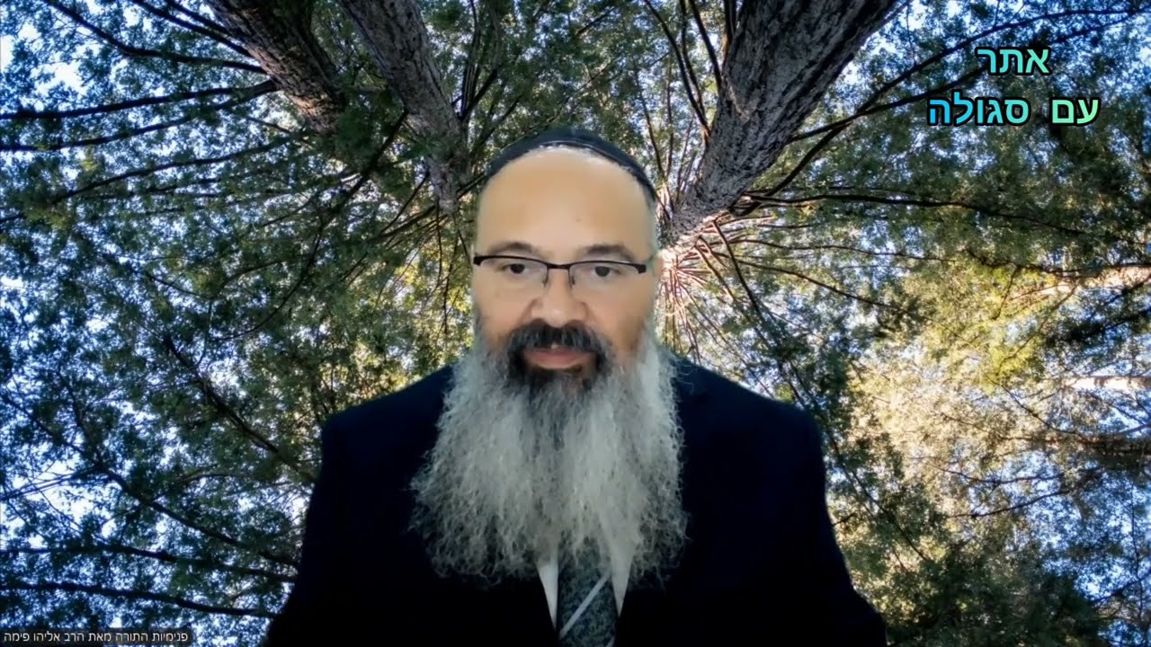 ליקוטי מוהר"ן | תורה י"ד סעיפים י' י"א | הרב אליהו פימה