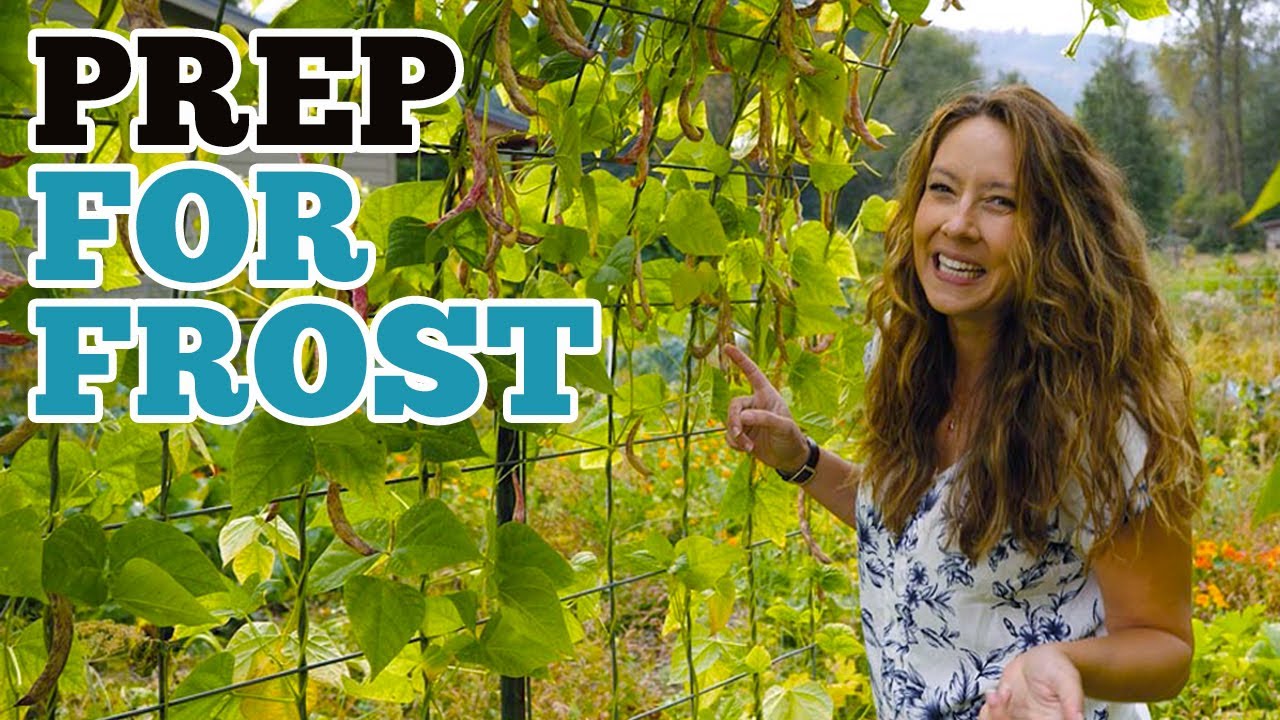 Don't Pick These Too Early Preparing for the FIRST frost | Gardening in October