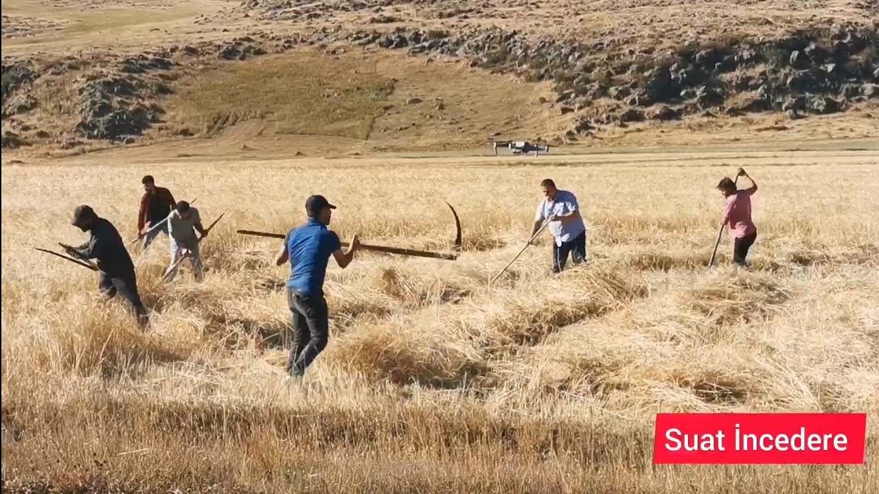 #Deme-çevirme.        Yöre: #Çıldır.        Derleme: Suat İncedere