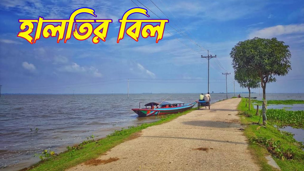 হালতির বিল, নাটোর | Halti Bill, Natore