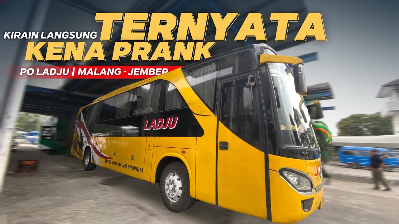 LOH KOK GINI YA ‼️ Malang - Jember Naik Bus Jarang Sekali TER-EXSPOSE PO Ladju