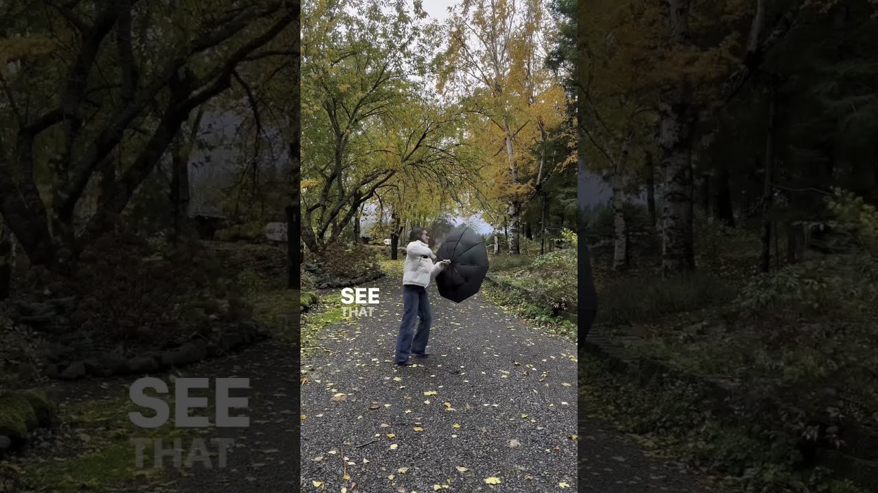 Windproof Umbrellas: Vortex V2 vs. an Amazon Bestseller