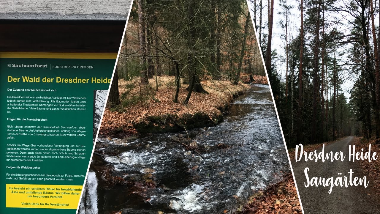 Saug&auml;rten - Dresdner Heide Hiking |  Dresden | 4K