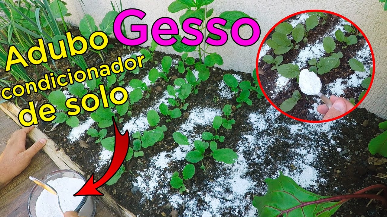 Gesso O Que é e Como Usar na Horta e Plantas em Vaso