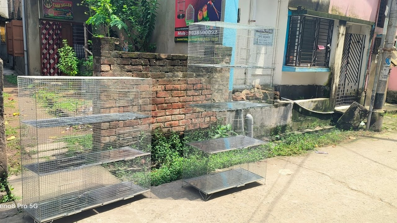 💥💥NEW PIGEONJAVA /BADGIES🕊️🦜BIRDS CAGE SUNDAY.KOLKATA NO1.QUALITY CHEPEST BIRDS CAGE MAKING FACTORY🏭