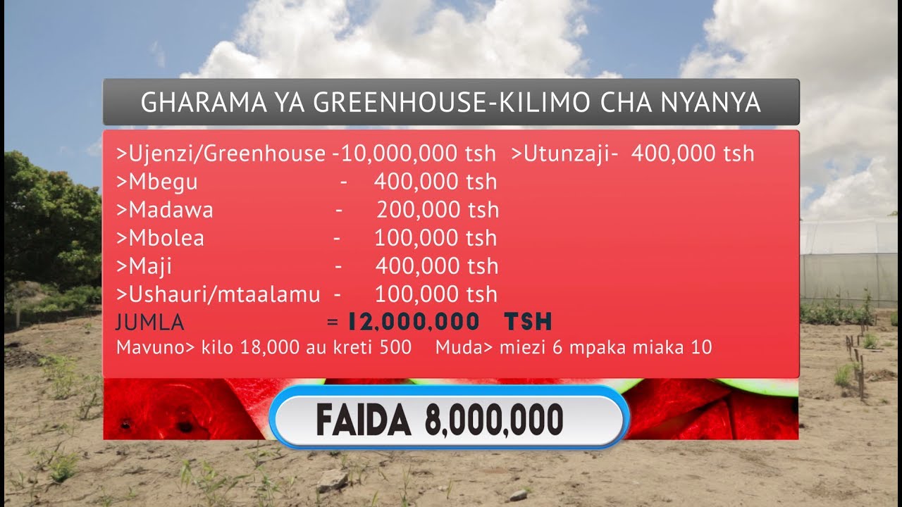 KILIMO KWA NYUMBA KITALU GREENHOUSE