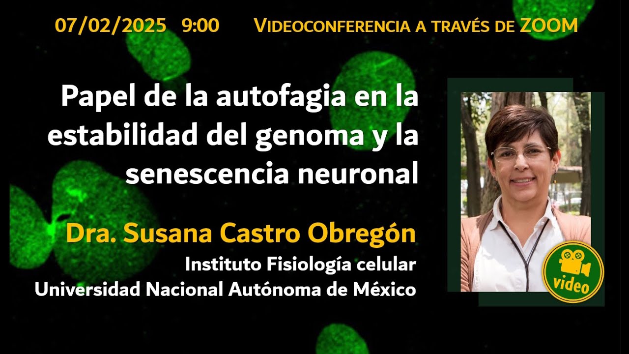 Papel de la autofagia en la estabilidad del genoma y la senescencia neuronal