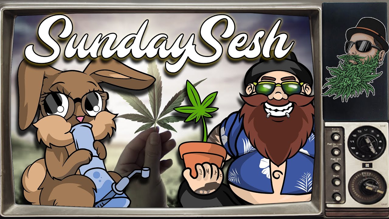 SUNDAYSESH 158 - GROW CUP round 2