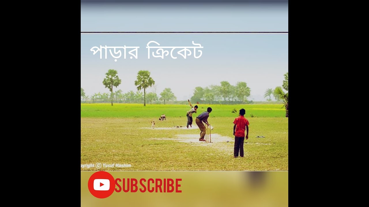 Village cricket of Bangladesh, money money money
