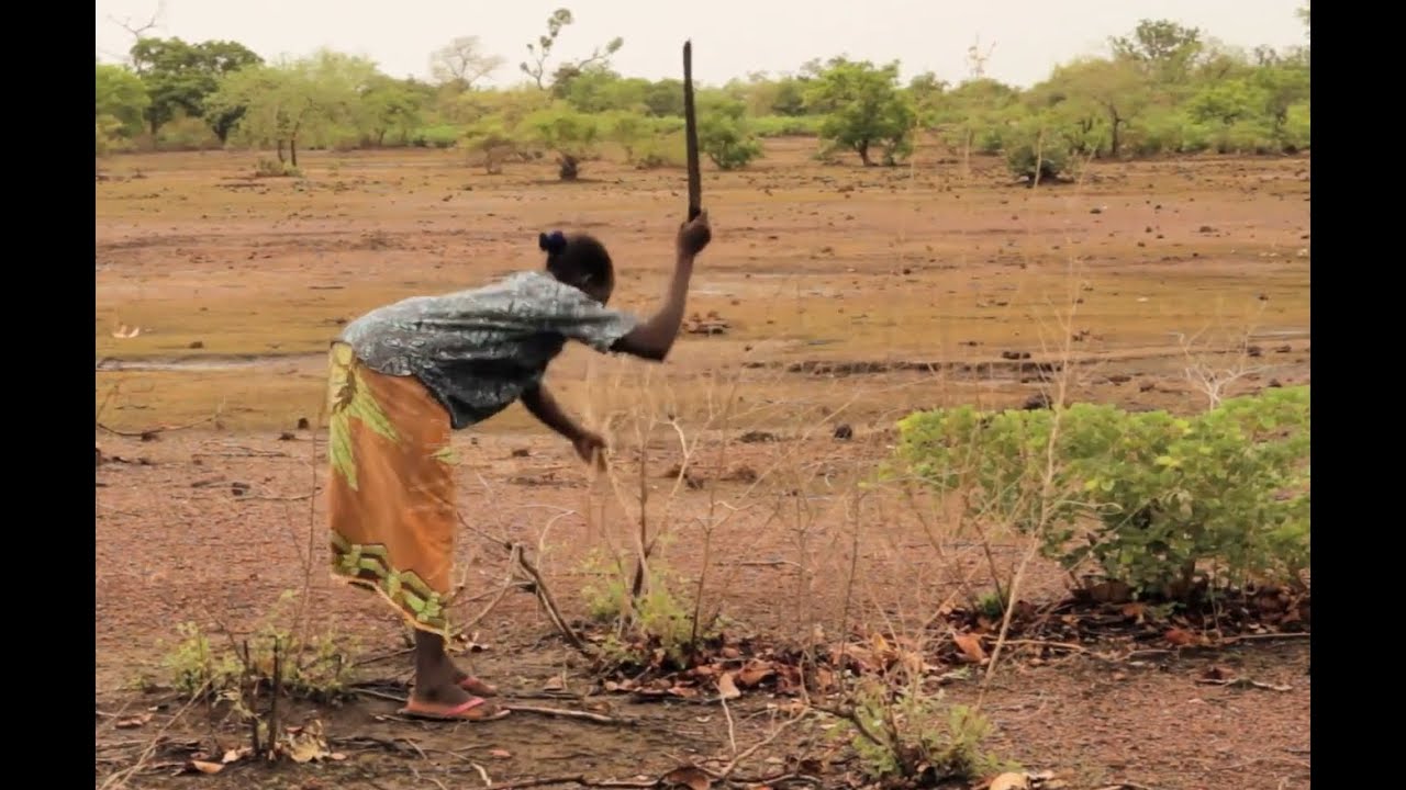 Mooré - Régénération Naturelle Assistée RNA   Un projet de l'association Tiipaalga