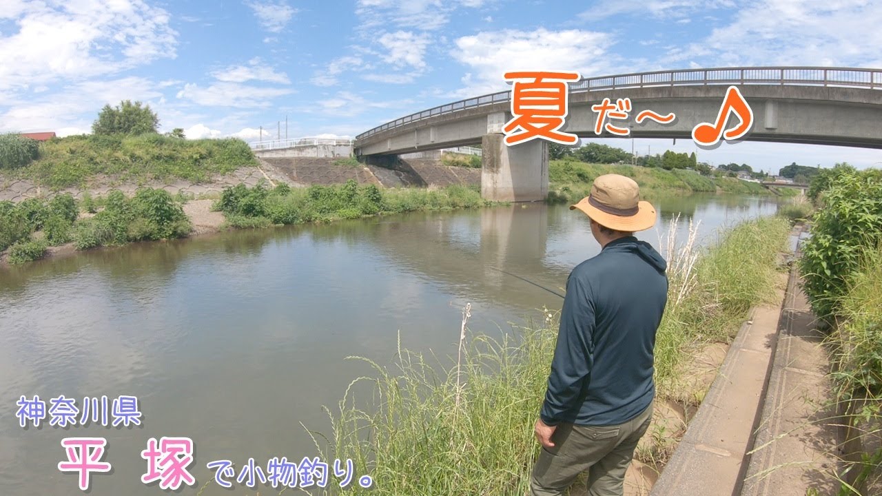 夏を感じる綺麗な魚！そろそろ夏ですね！   梅雨何処いったー？  神奈川県 平塚で小物釣り。
