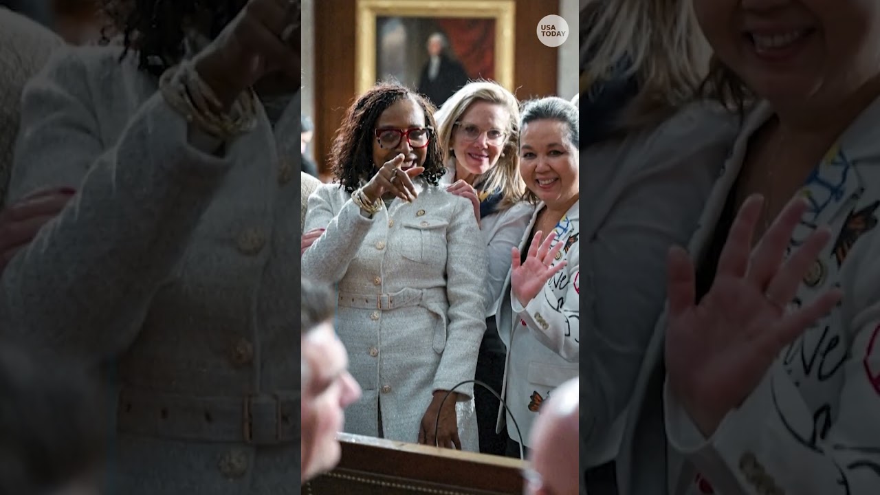 Democrat lawmakers wear pins for Epstein victims at State of the Union