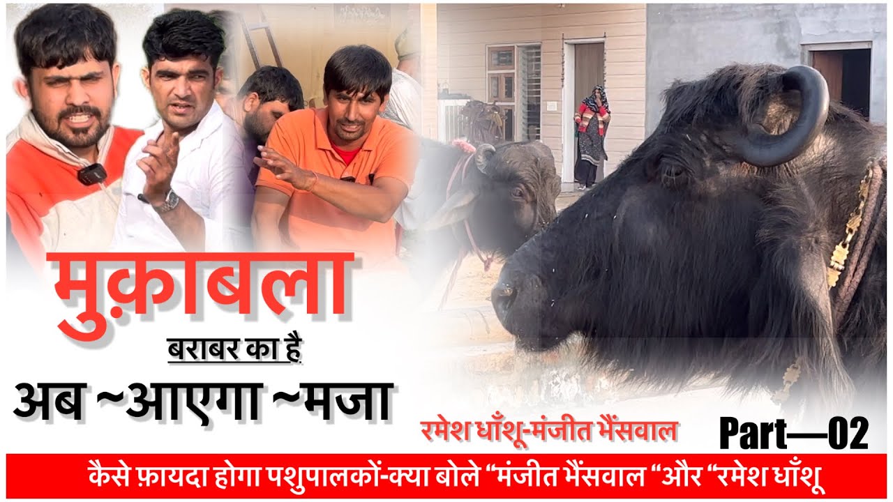 मुक़ाबला बराबर का है अब आएगा मज़ा || मंजीत भैंसवाल-रमेश धाँशू || Part-02||