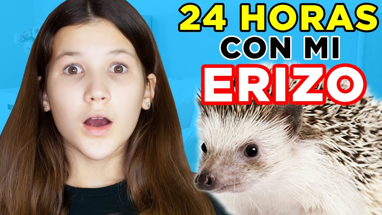 TODO EL DIA CON MI MASCOTA | 24 HORAS CON UN ERIZO | Daniela Golubeva