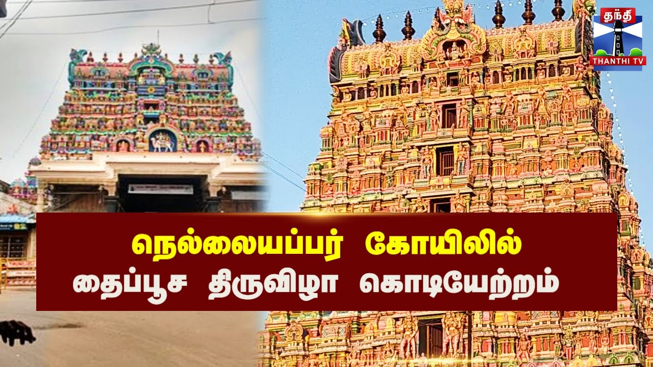 🔴LIVE : Nellaiyappar Temple || நெல்லையப்பர் கோயிலில் தைப்பூச திருவிழா கொடியேற்றம்