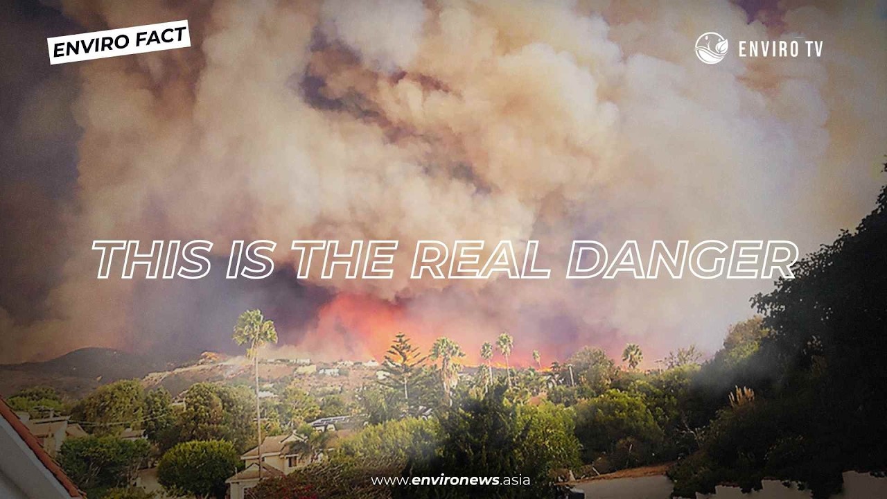 Why Wildfire Smoke Is So Dangerous