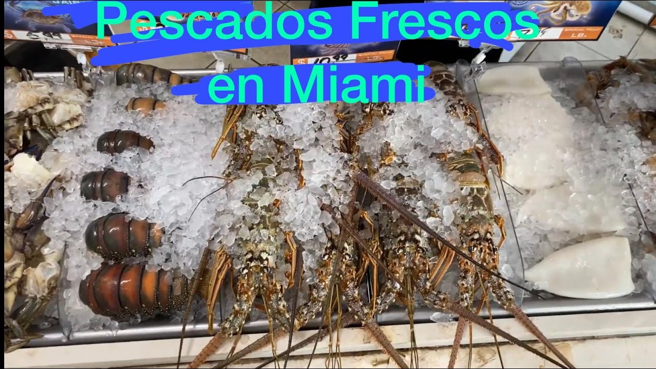 Pescados Frescos en Miami , los mejores Precios Garantizados