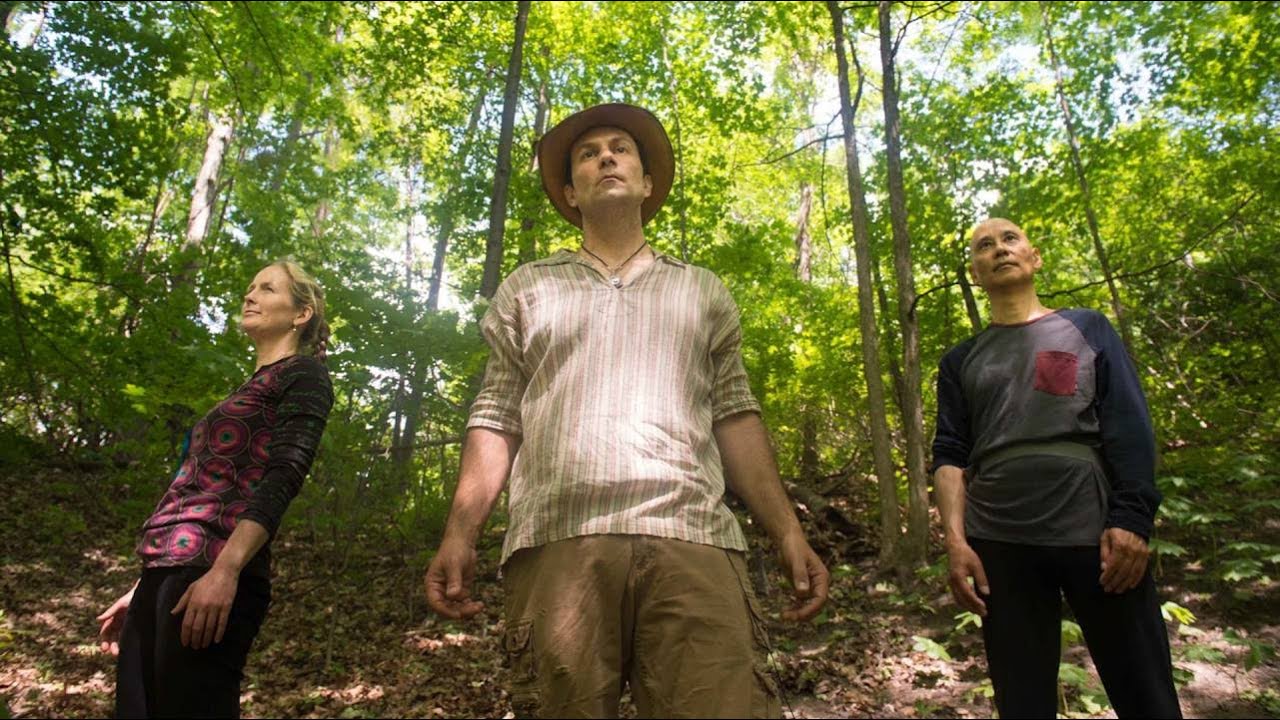 Forest therapy guide uses woodland walks to heighten senses