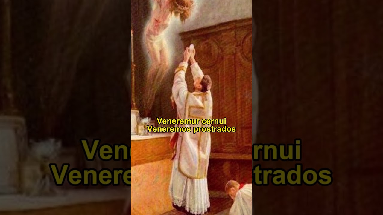 T&atilde;o Sublime Sacramento - Tantum ergo Sacramentum  #gregoriano #fe