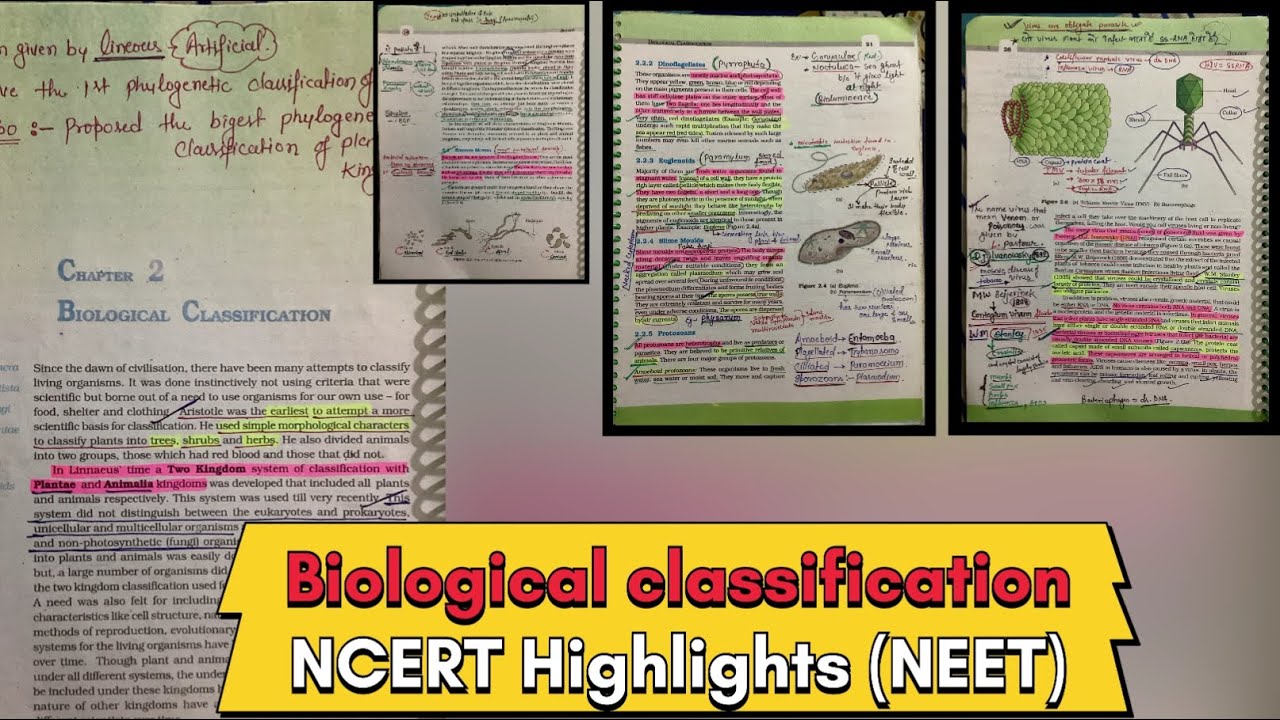Biological Classification || NCERT HIGHLIGHTS || For NEET . #neet #neet2024 #ncert #biology