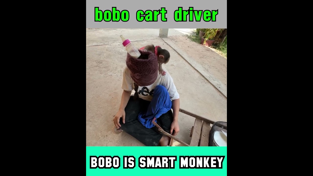 mommy cart driver for make bobo make happy