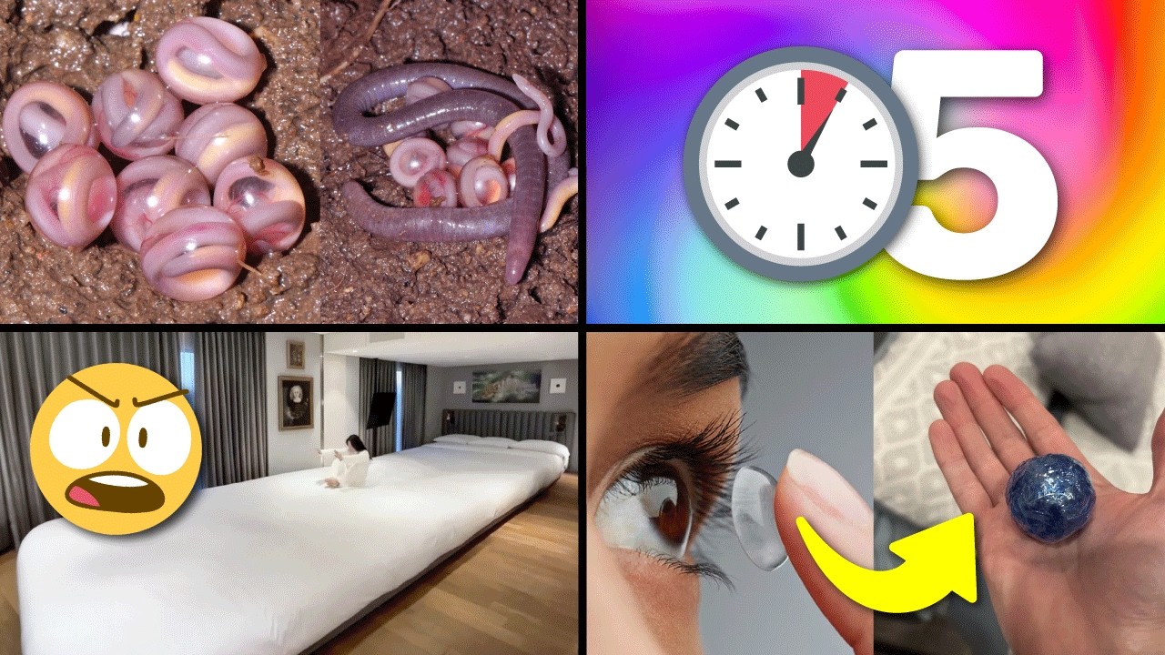 25 Cosas que NO Sabías hace 5 minutos!! ⏰😲 [260]