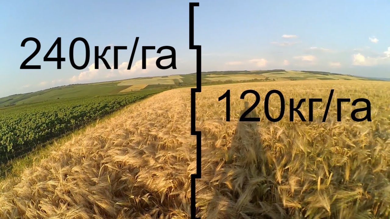 Пшеница 140кг, Ячмень 120кг, Соя 50 60кг Обзор