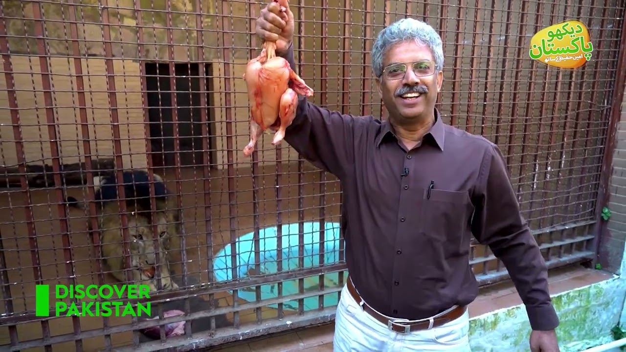 Explore The Oldest Zoo In Pakistan 