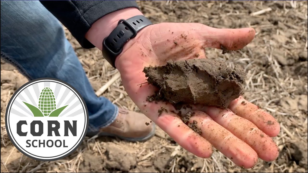 Corn School: Fit soil key to planting success