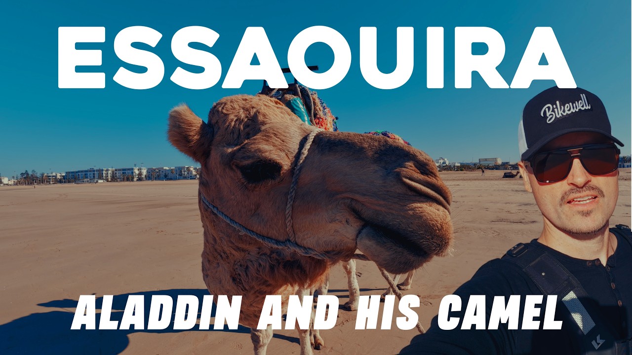 Met Camels on the Beach & Found Sultan’s Ruins - Essaouira 🇲🇦 | My Journey Across Africa | EP09 S1