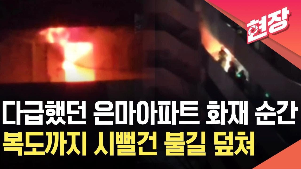 [현장영상] 새벽 대치동 은마아파트 화재 순간…복도까지 덮친 불길 10대 ‘참변’ / KBS 2026.02.24.