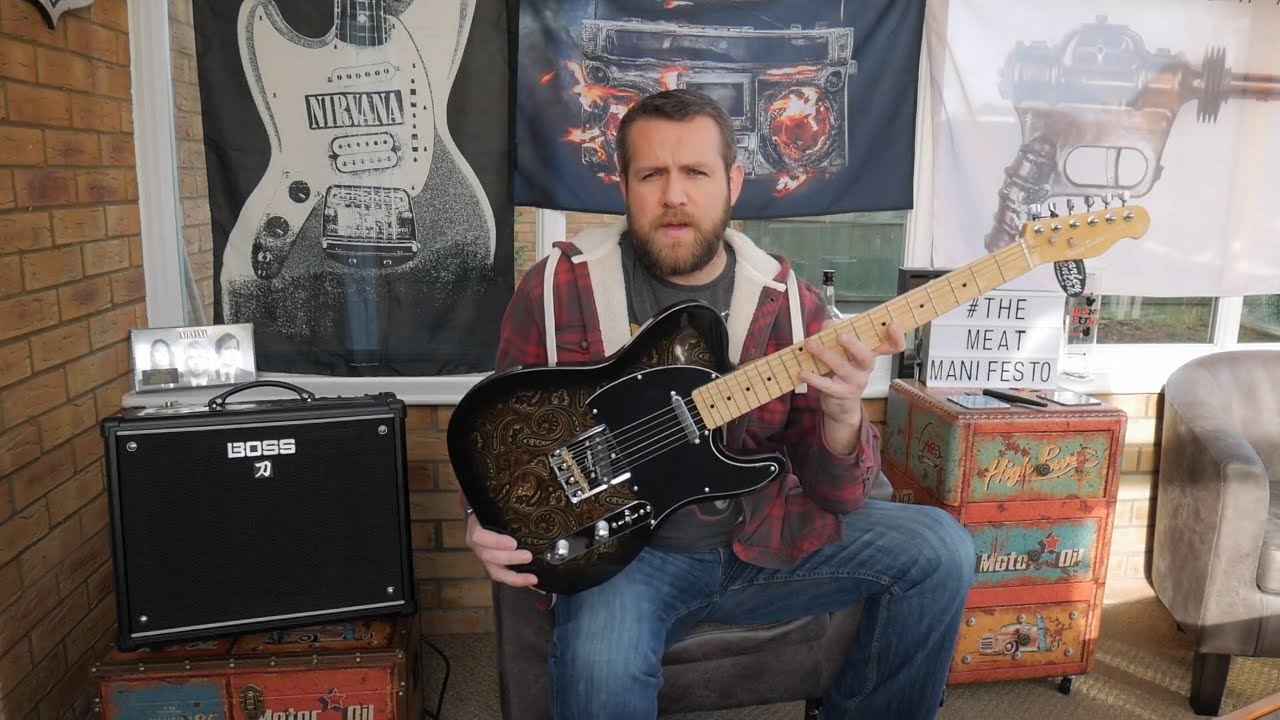 Harley Benton TE-70 Black Paisley Telecaster Review