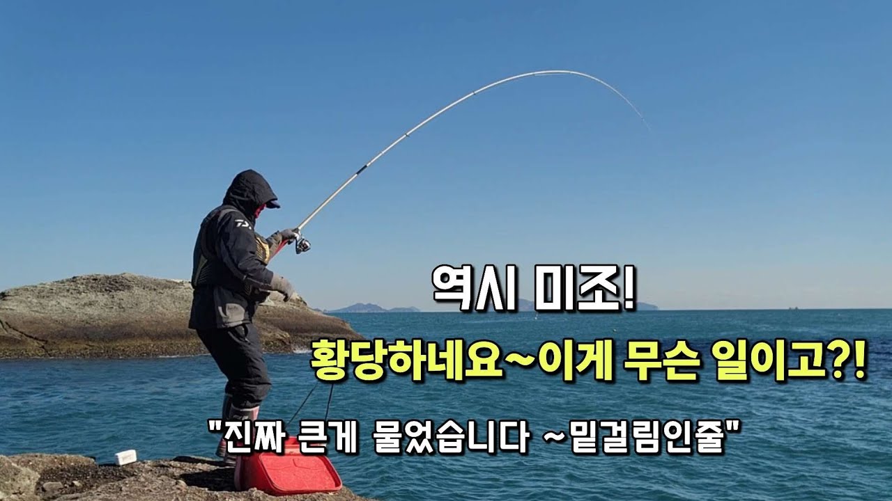 밑걸림 같은 대물이 물었습니다~역시 미조