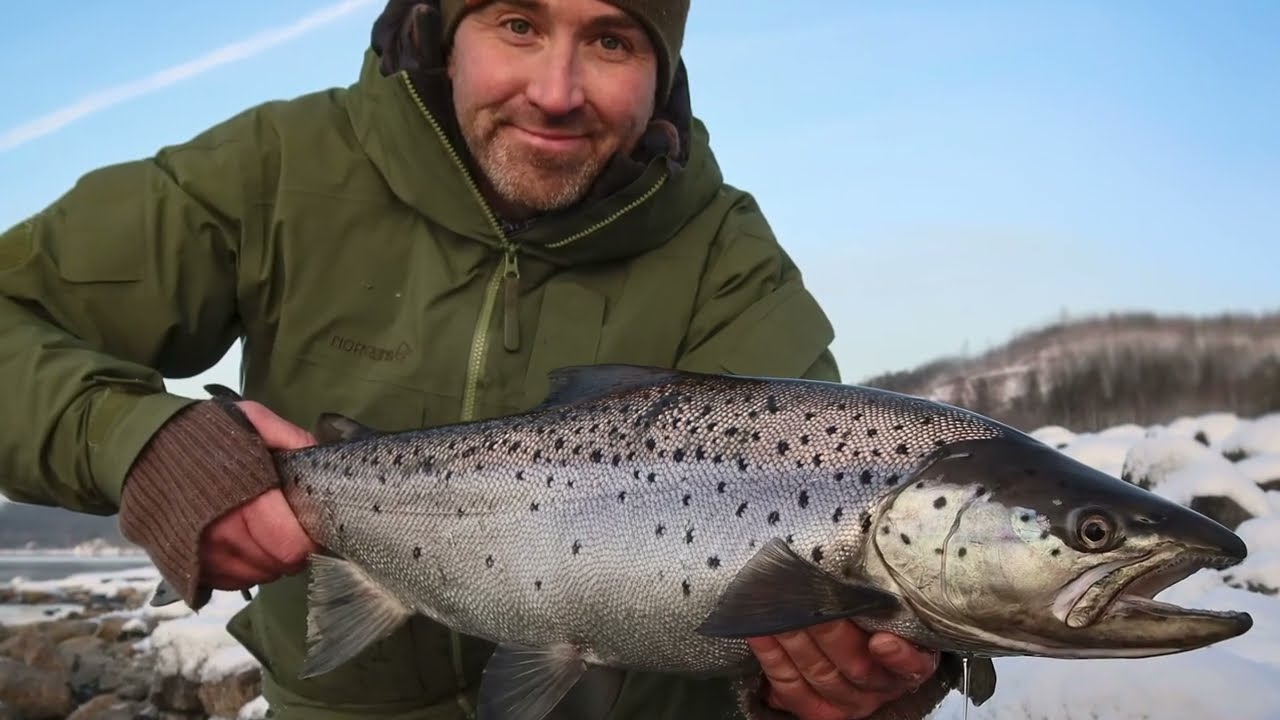 Mjøsa fra land-TOPP 3 BAITS-FARGER OG TIPS.
