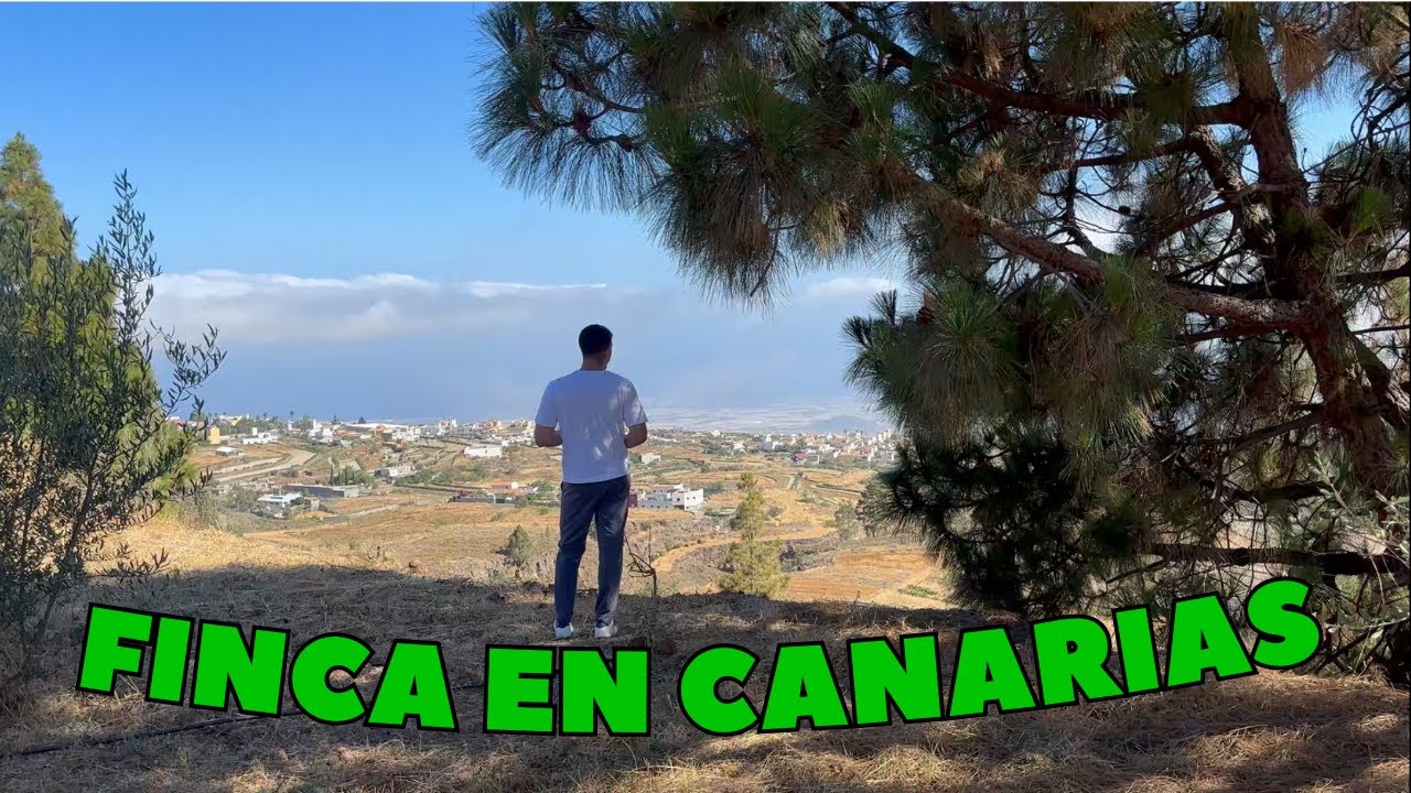 Así es una FINCA en Tenerife. Restaurante, habitaciones, cultivos y más.